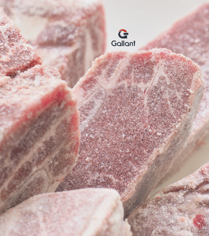 Interior de câmara fria Industrial