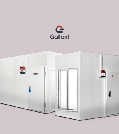 Interior de câmara fria com carnes congeladas