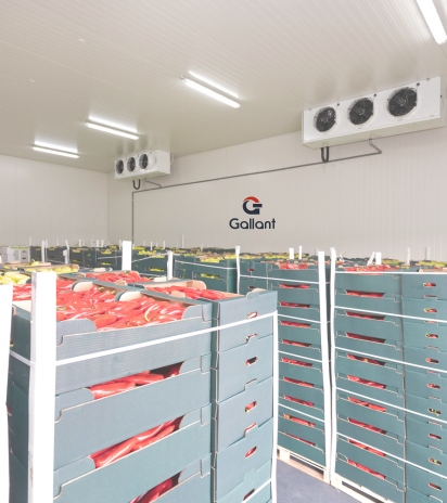 Interior de câmara fria Industrial